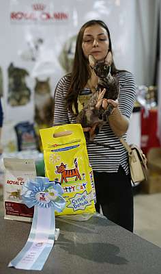 �������� ����� 22-23 ������ 2014 WCF-����� 4-113-169A8039 copy.jpg